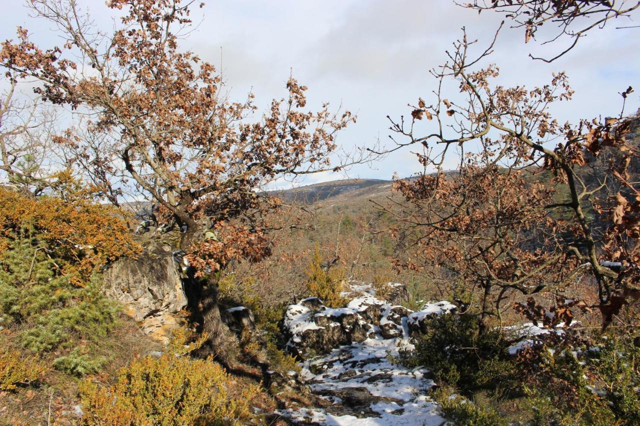 Les Chambres De La Dourbie Nant Exteriör bild